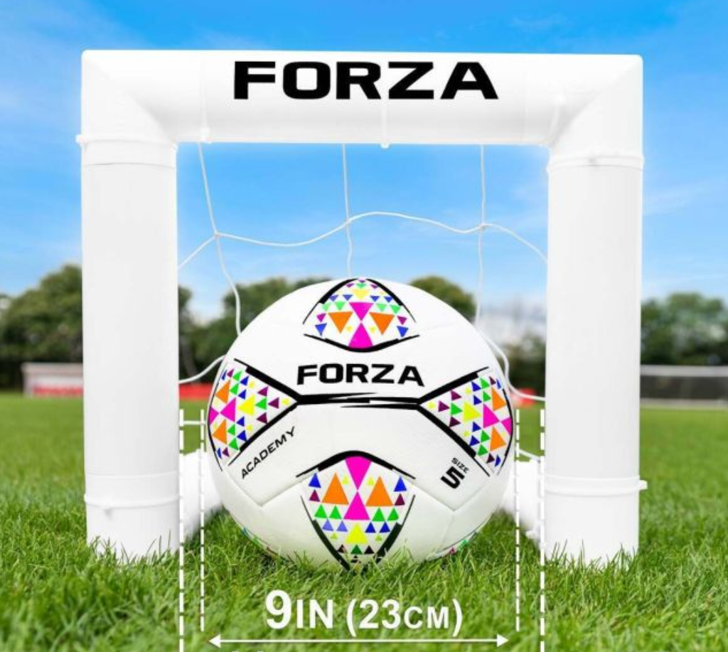 FORZA World’s Smallest Target Goal